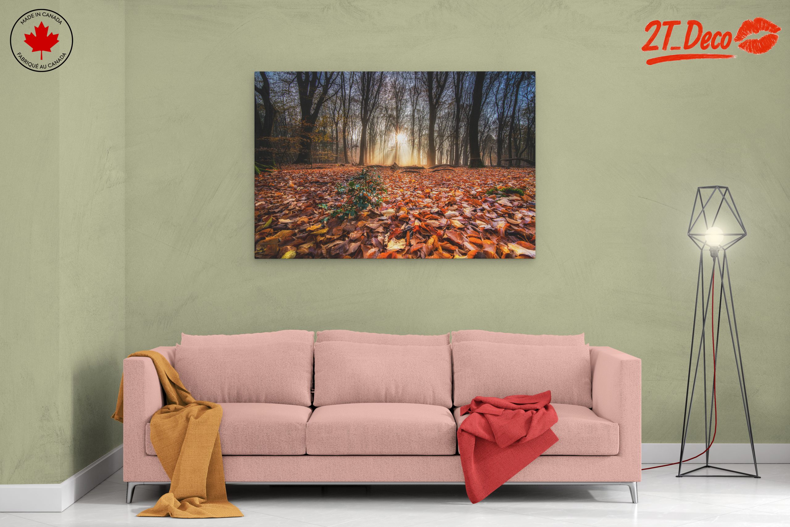 Sunlit Forest Pathway in Autumn - Image 2