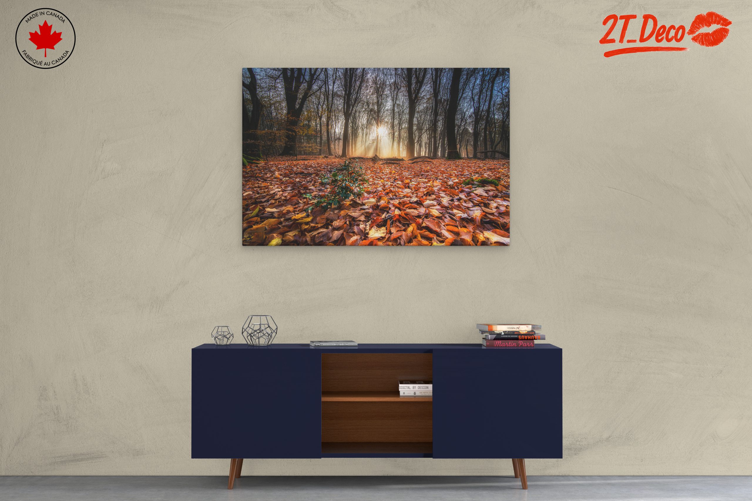 Sunlit Forest Pathway in Autumn - Image 3
