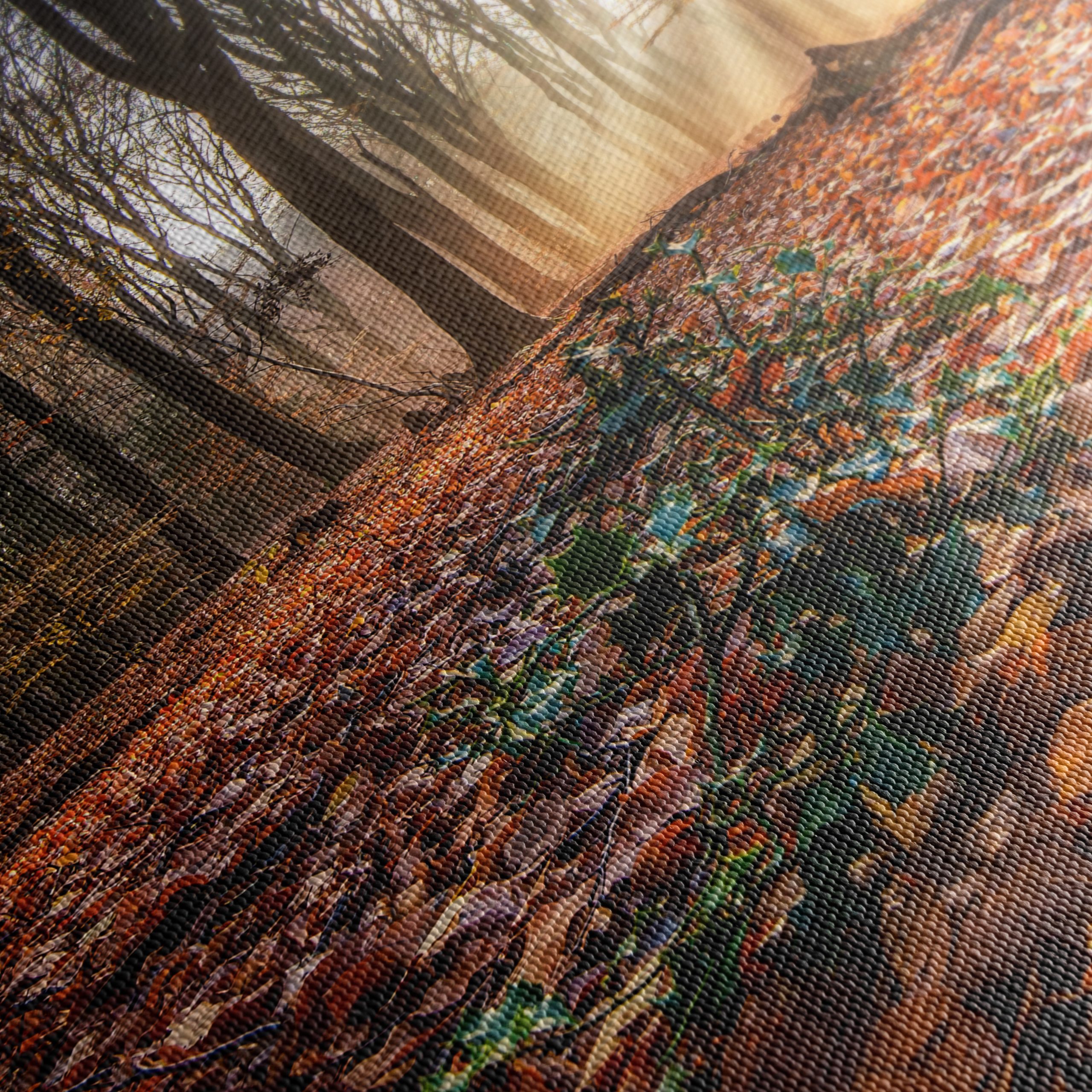 Sunlit Forest Pathway in Autumn - Image 5