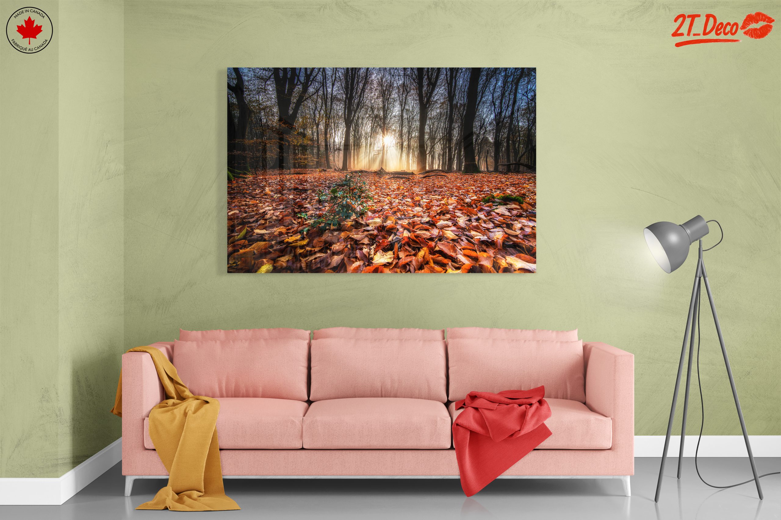 Sunlit Forest Pathway in Autumn - Image 7