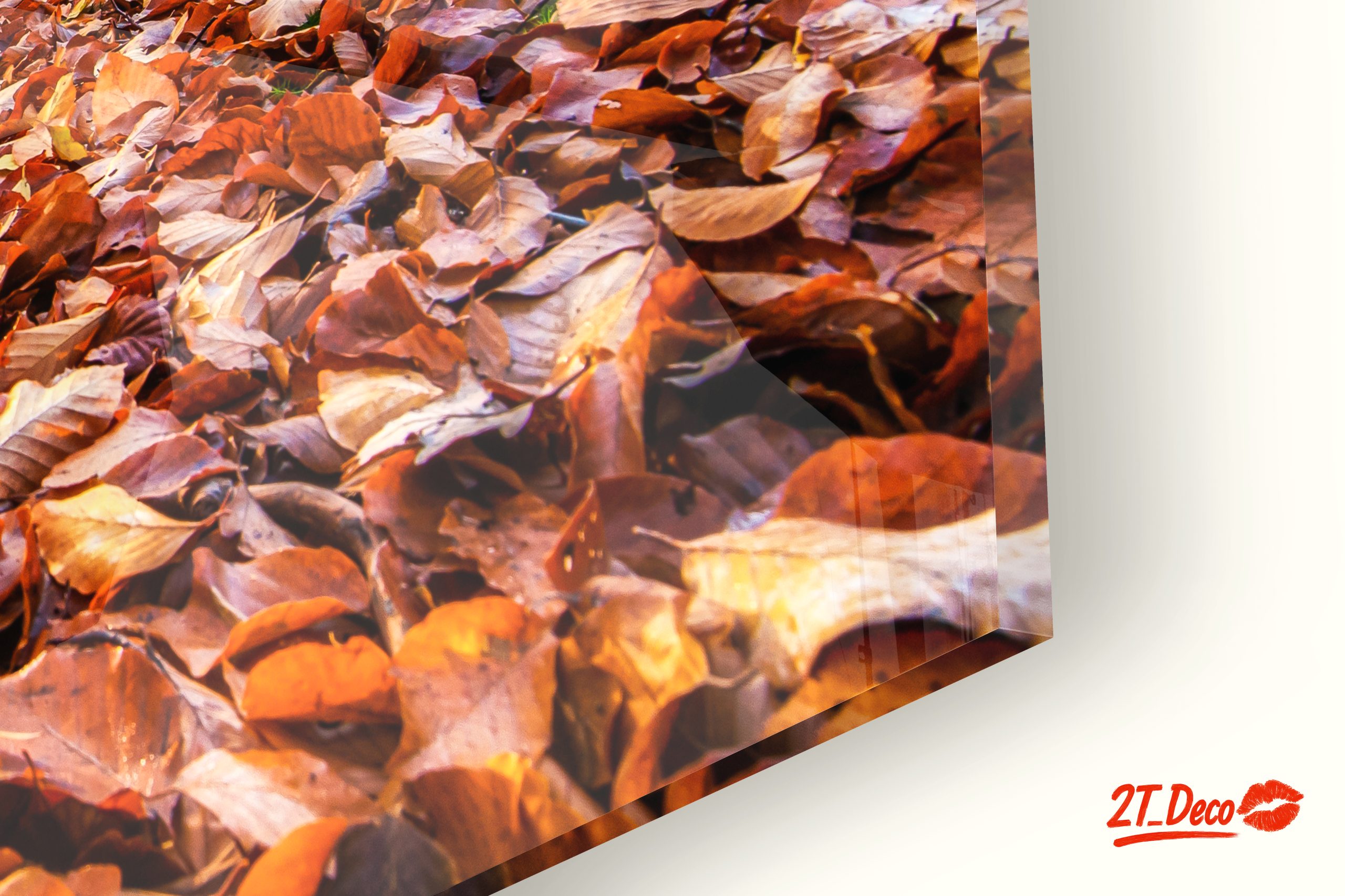 Sunlit Forest Pathway in Autumn - Image 9