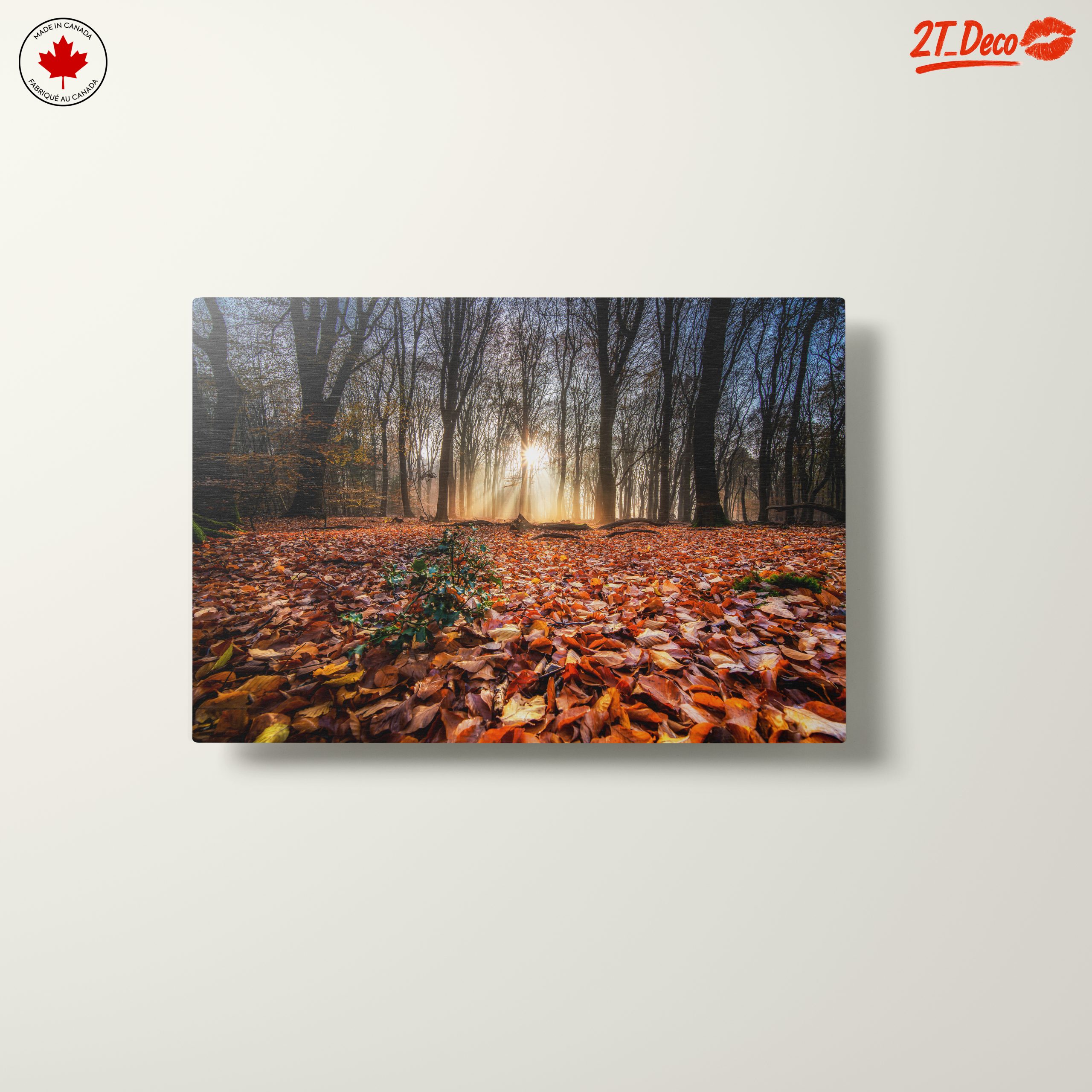 Sunlit Forest Pathway in Autumn - Image 10