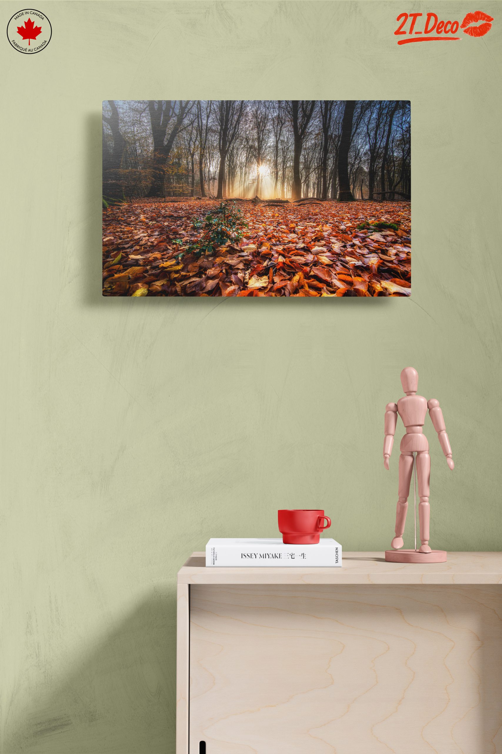 Sunlit Forest Pathway in Autumn - Image 14