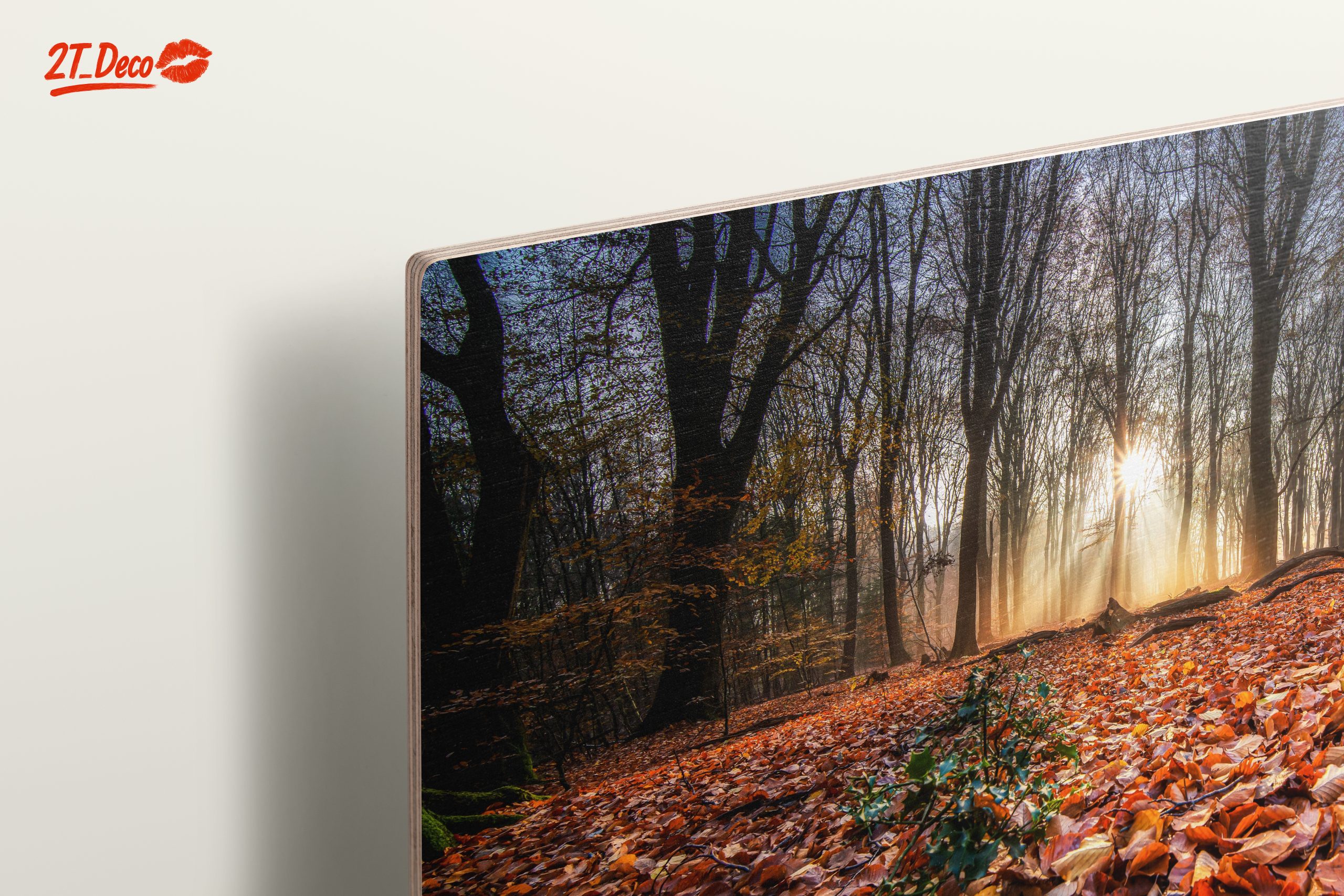 Sunlit Forest Pathway in Autumn - Image 15