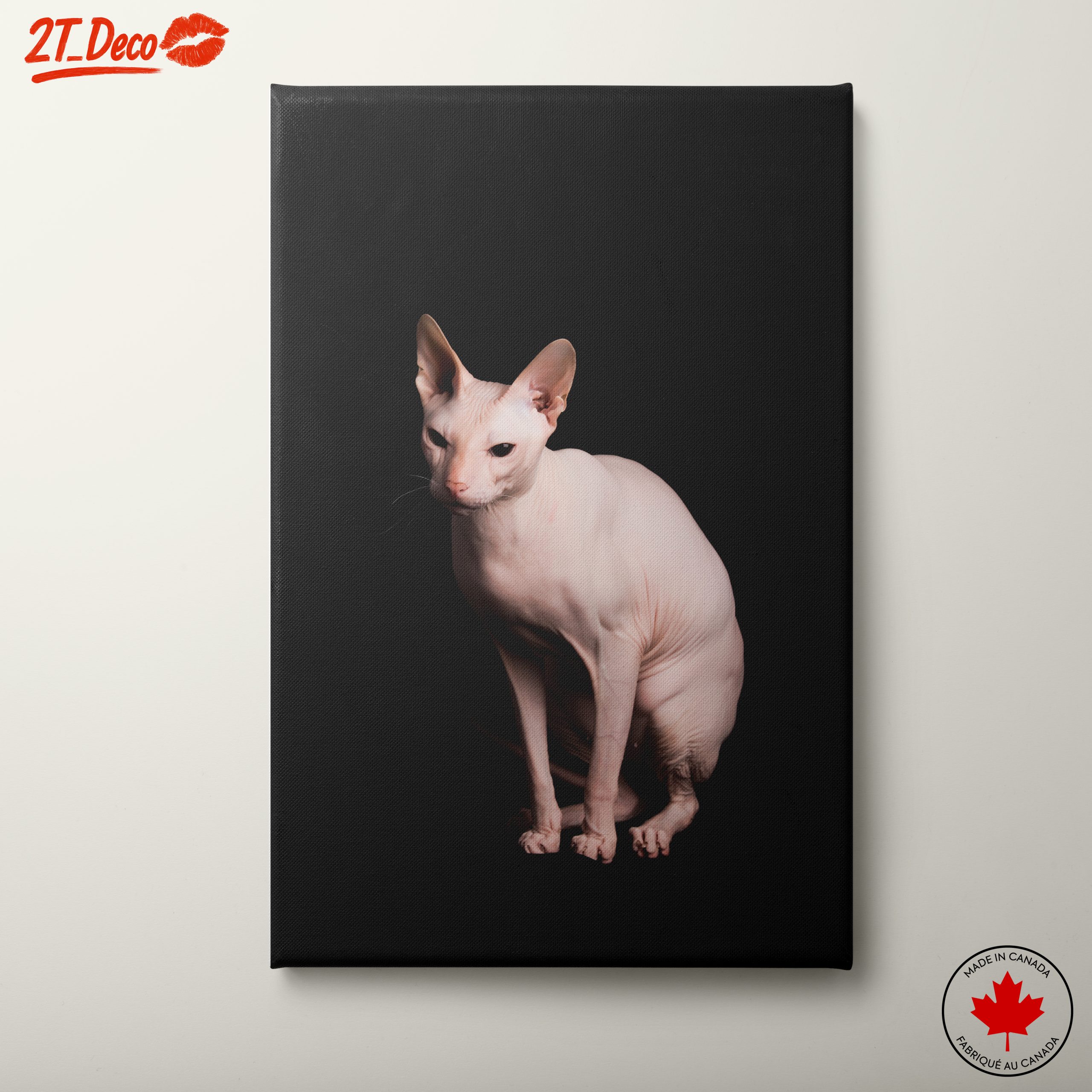 Elegant Sphynx Cat Portrait