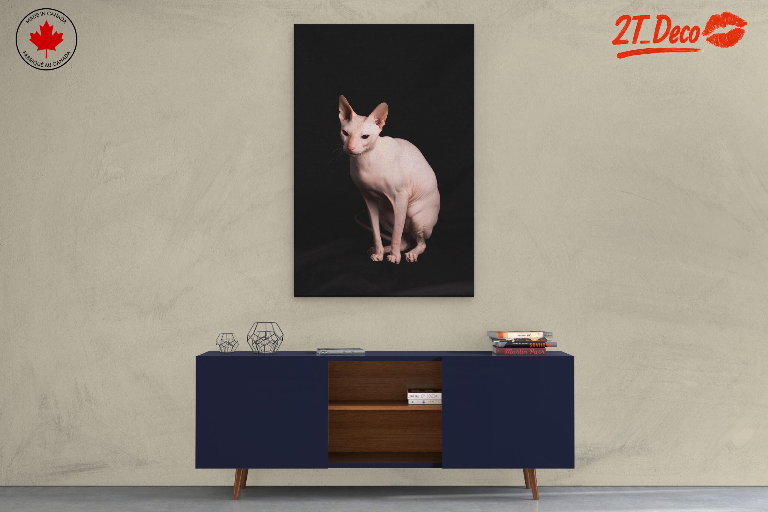 Elegant Sphynx Cat Portrait - Image 3