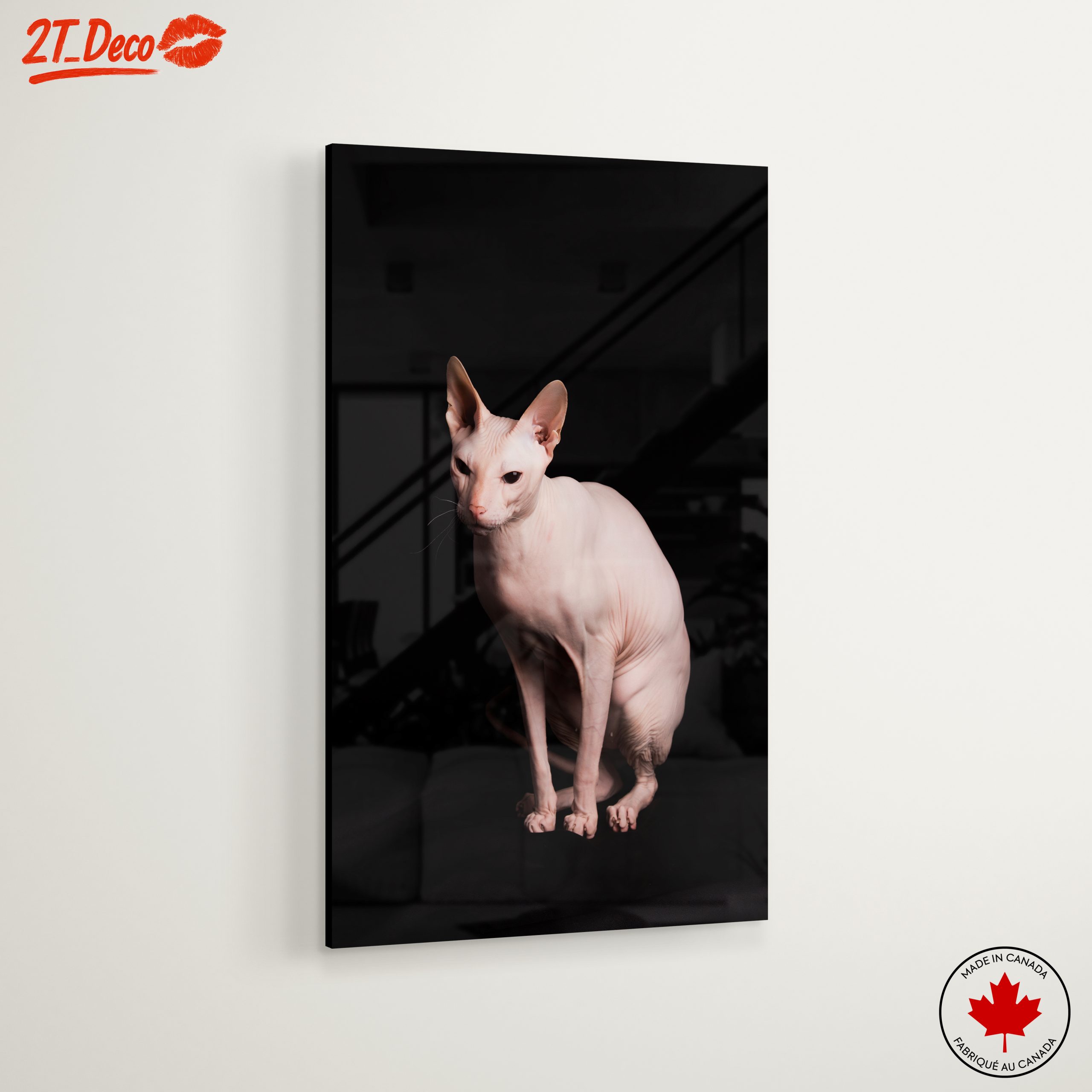 Elegant Sphynx Cat Portrait - Image 6