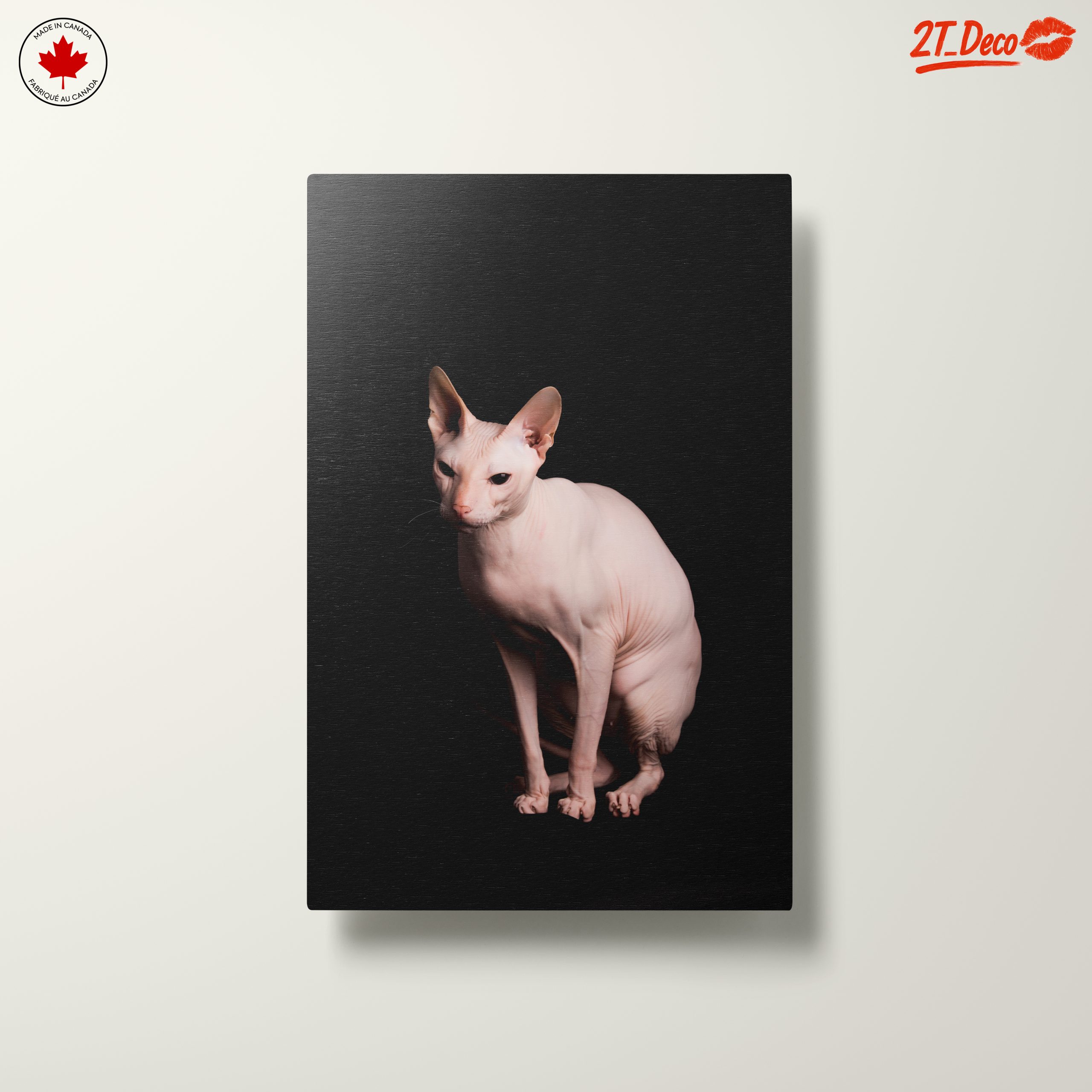 Elegant Sphynx Cat Portrait - Image 10