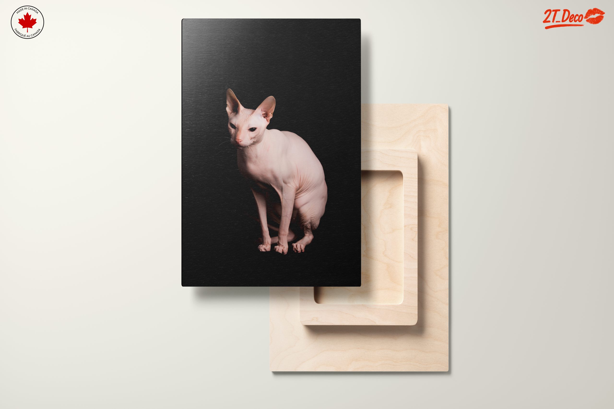 Elegant Sphynx Cat Portrait - Image 11