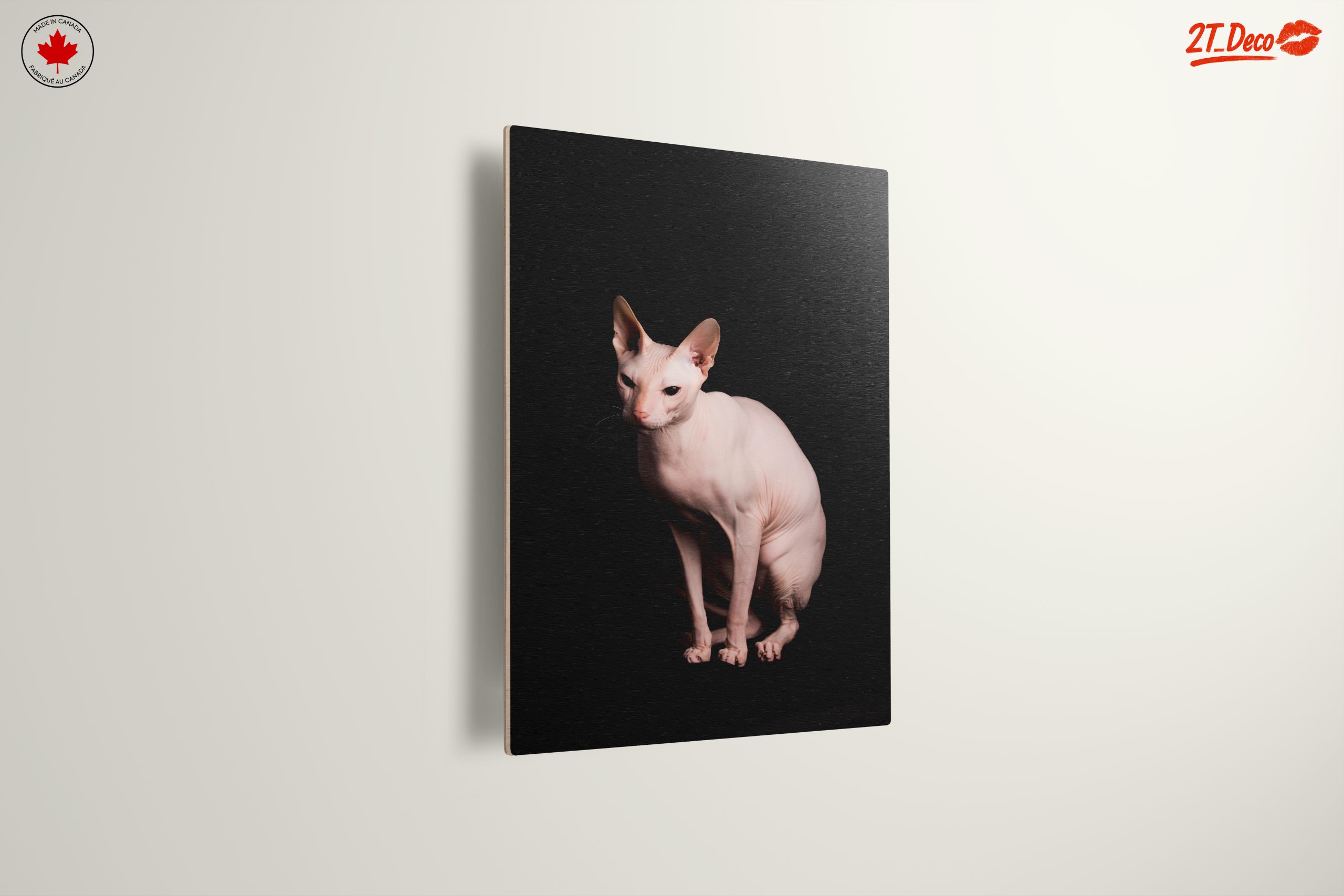 Elegant Sphynx Cat Portrait - Image 13
