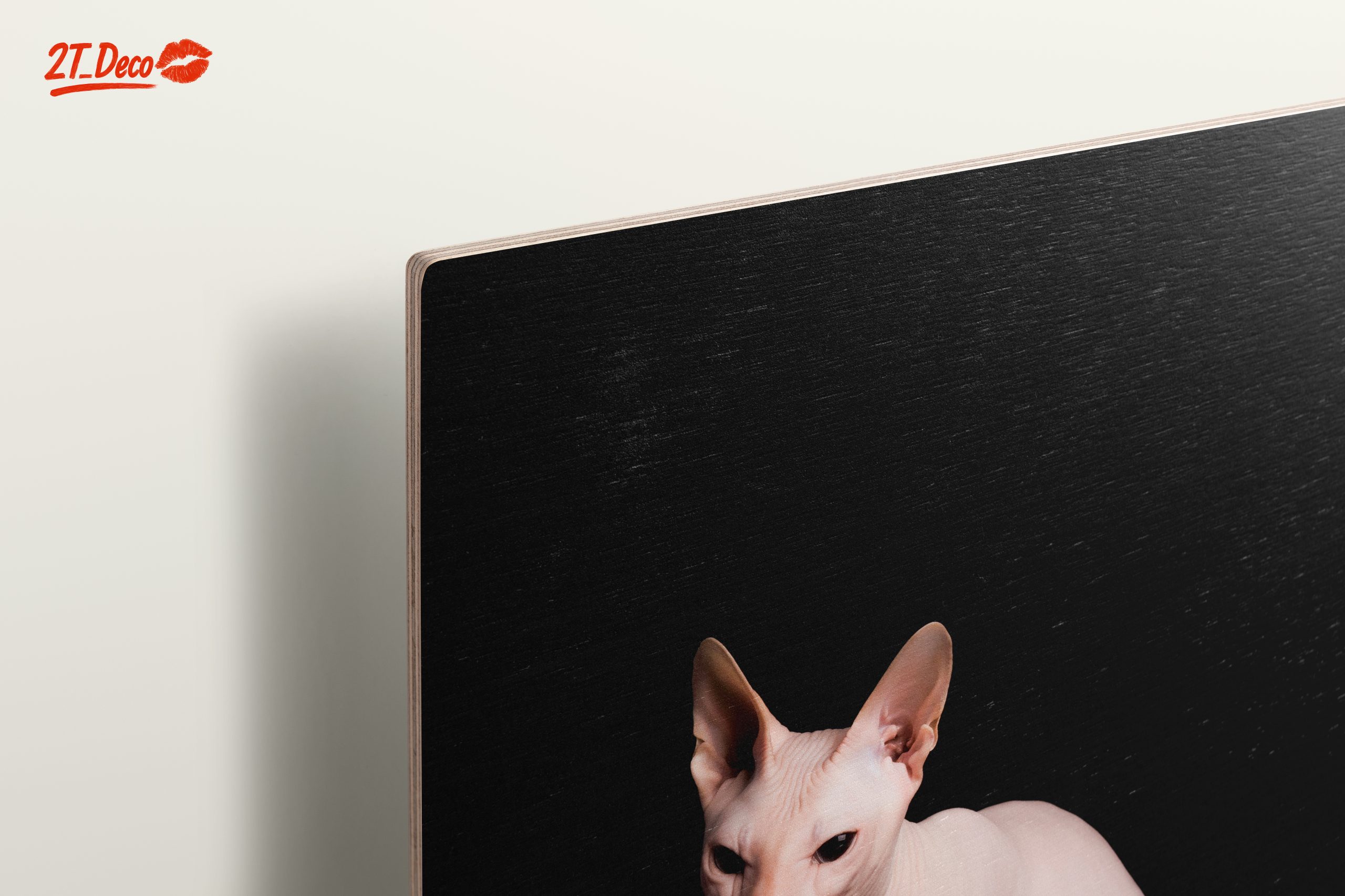 Elegant Sphynx Cat Portrait - Image 15