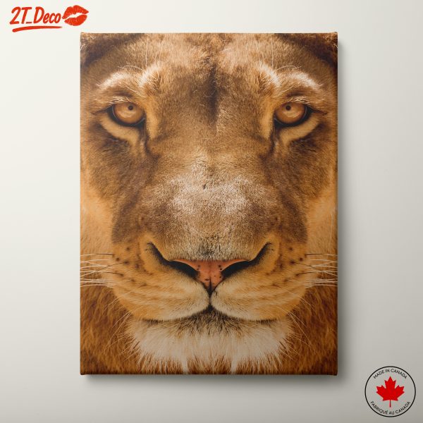 Stunning Lion Close-Up Wall Art