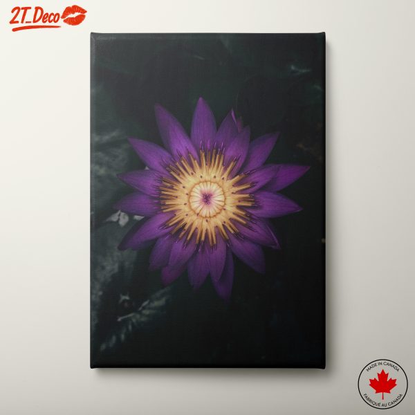 Vibrant Purple Water Lily Wall Art