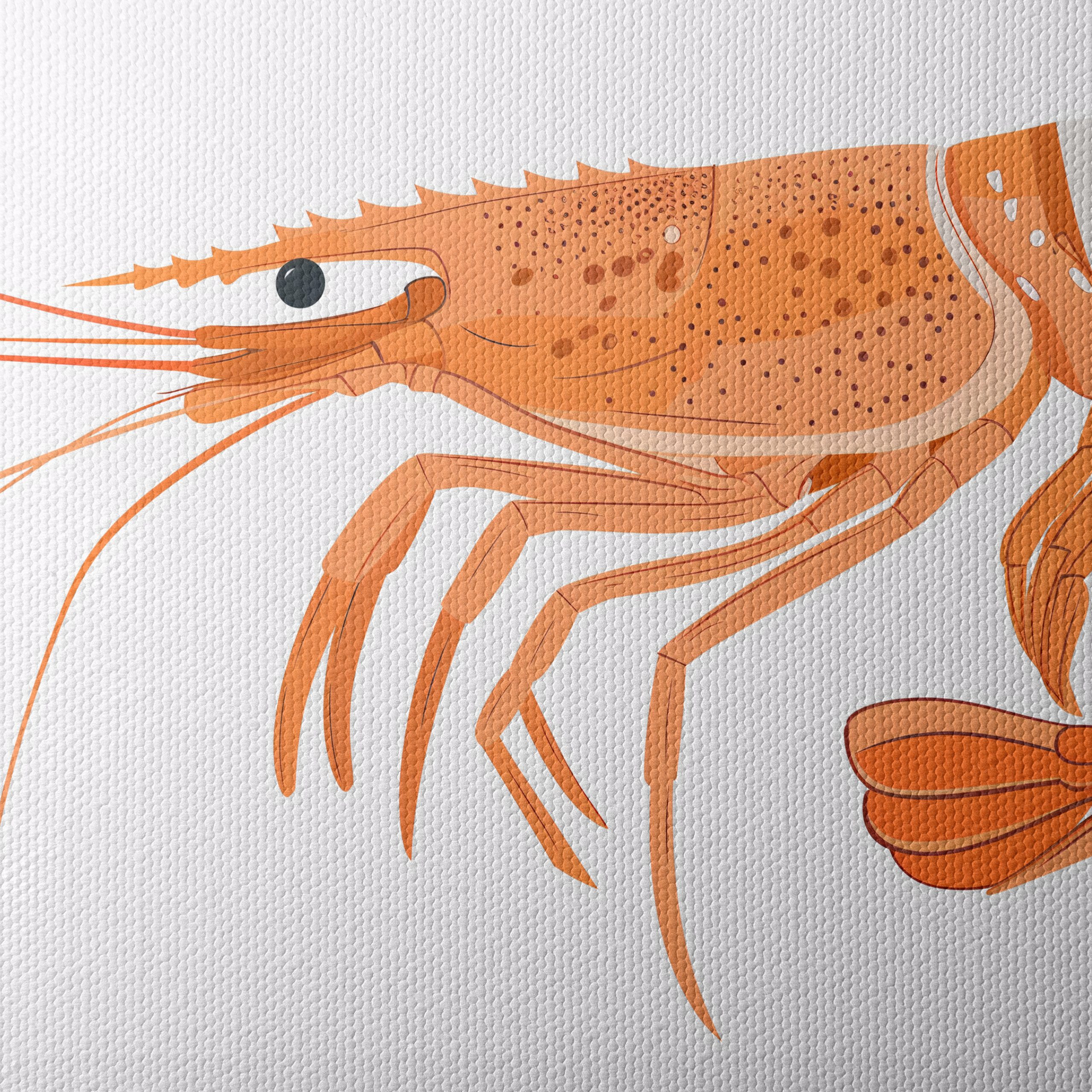 Vibrant Seafood Illustrations for Home Decor - Image 4