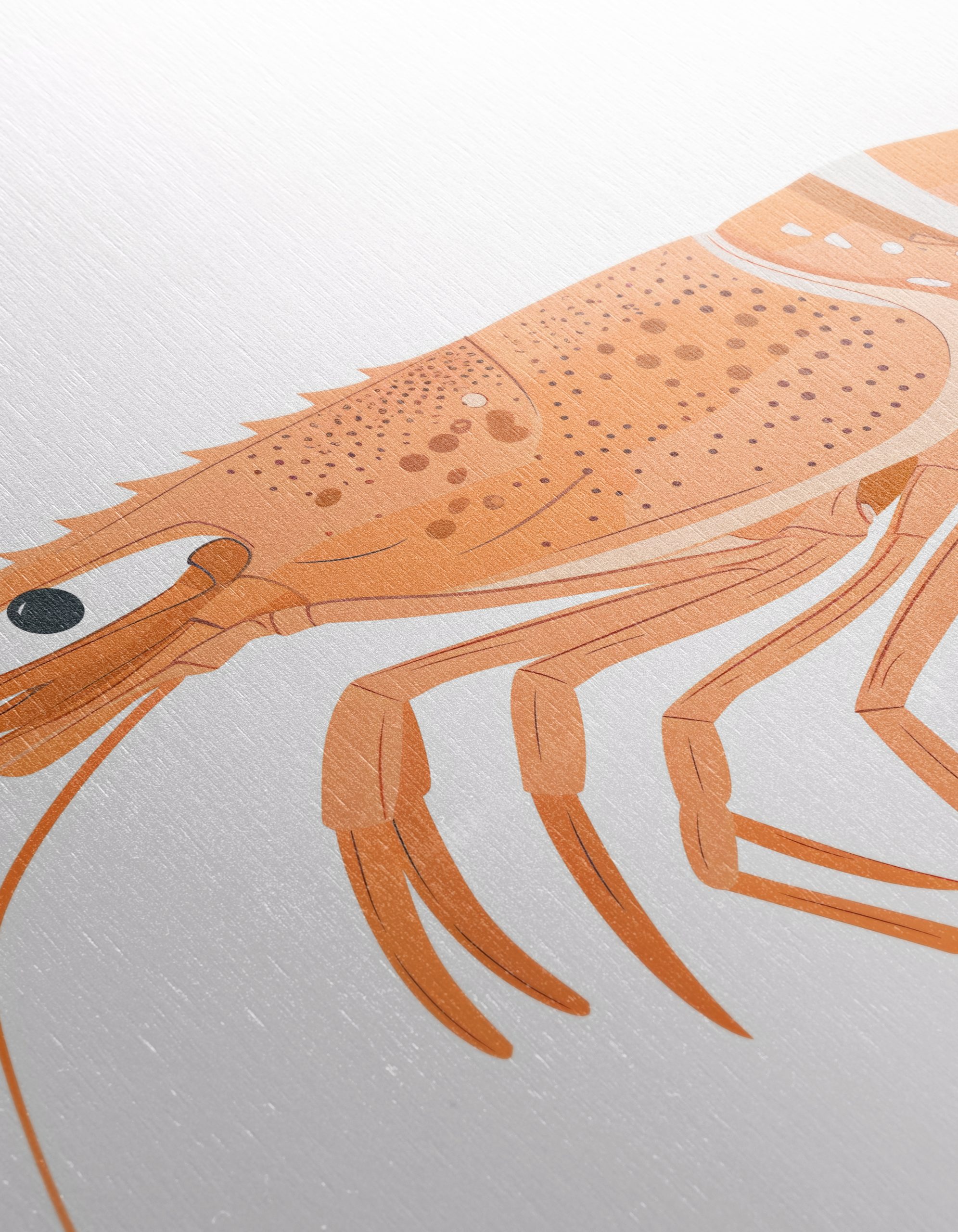 Vibrant Seafood Illustrations for Home Decor - Image 12