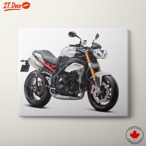Stylish Motorcycle Wall Art for Riders