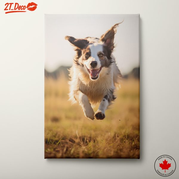 Playful Dog Running in Nature