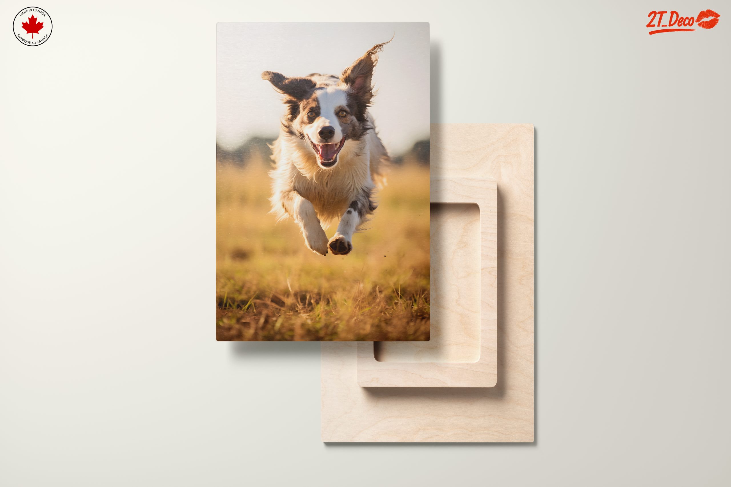 Playful Dog Running in Nature - Image 11