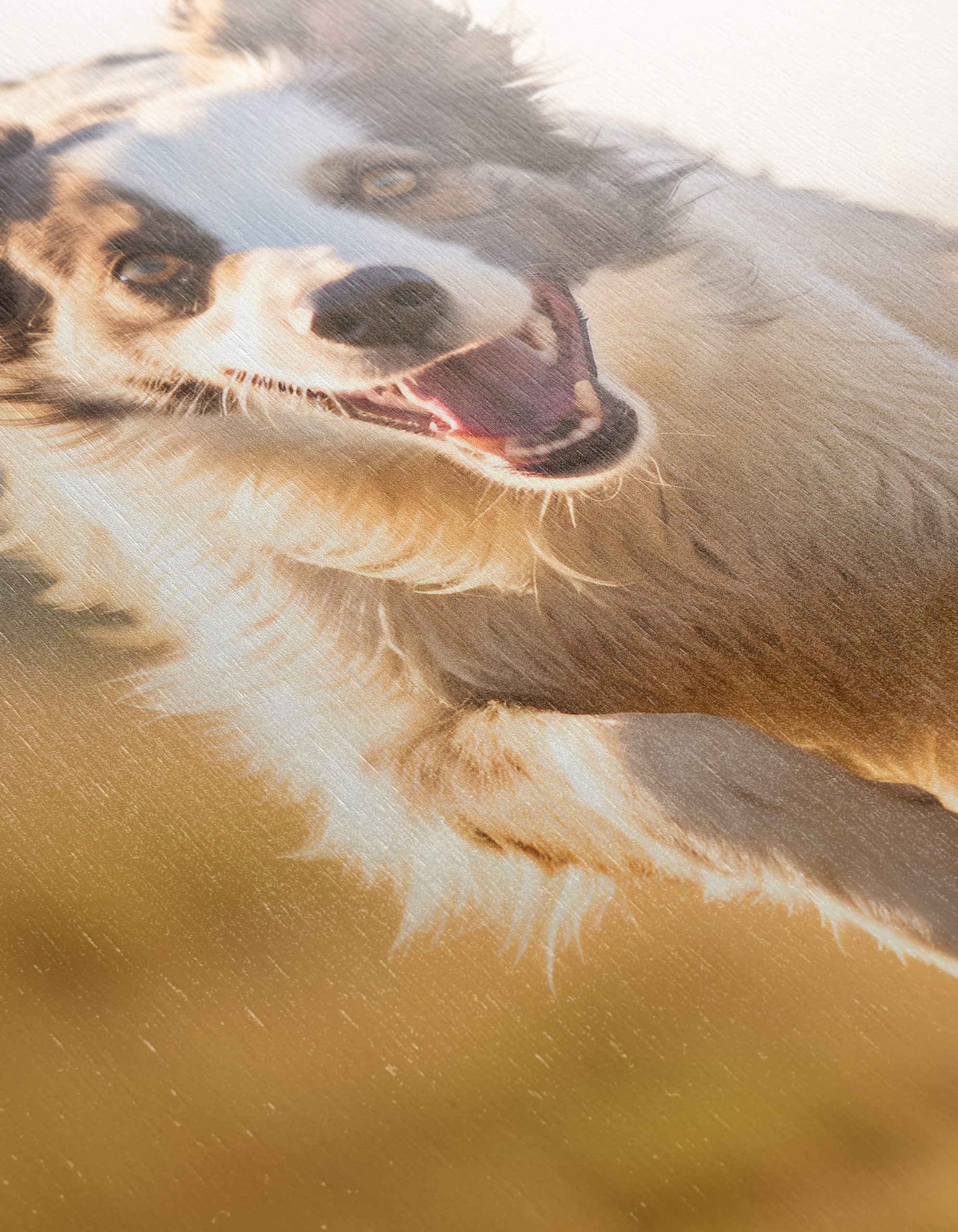 Playful Dog Running in Nature - Image 12