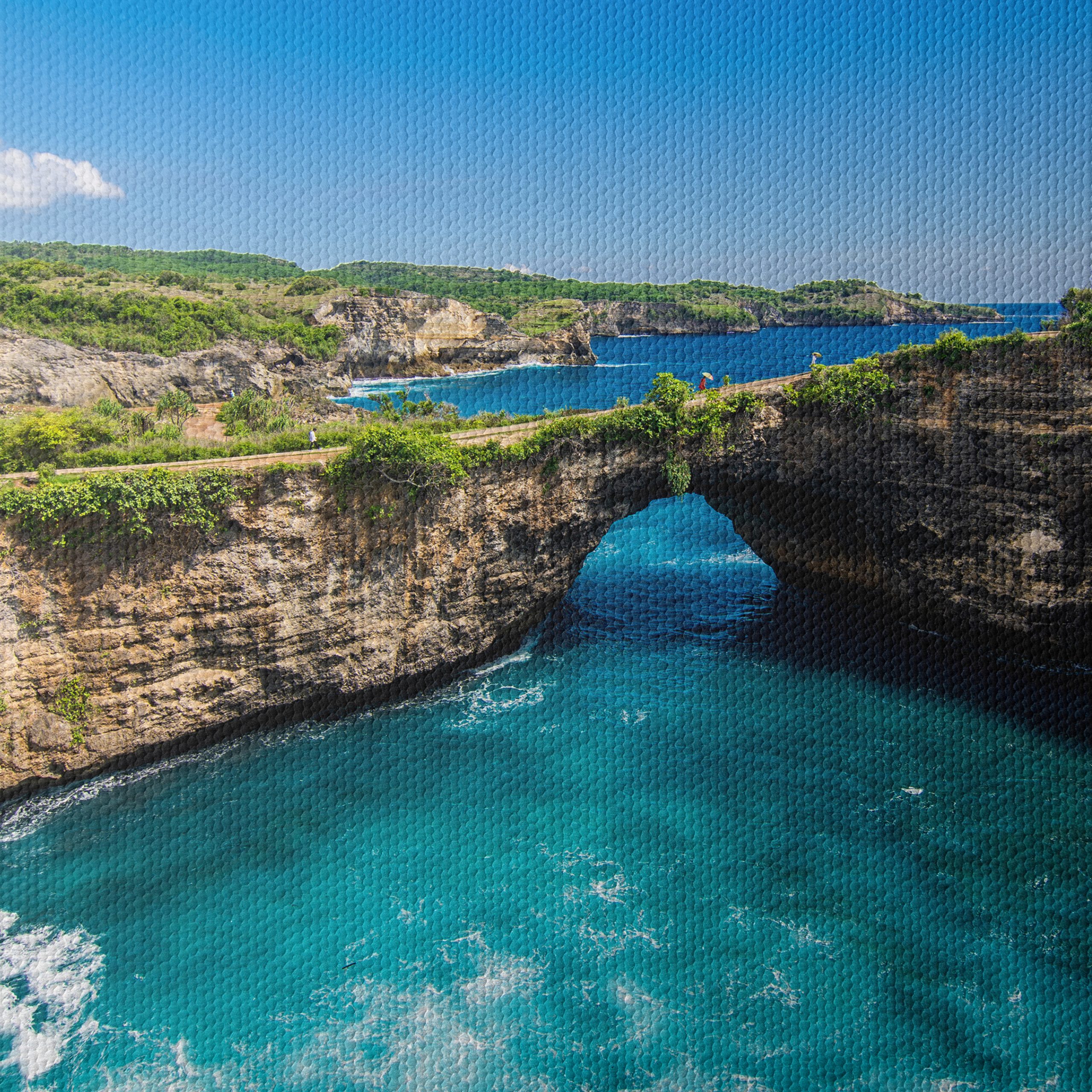 Stunning Coastal View with Lush Greenery - Image 4