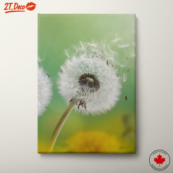 Dandelion With Floating Seeds