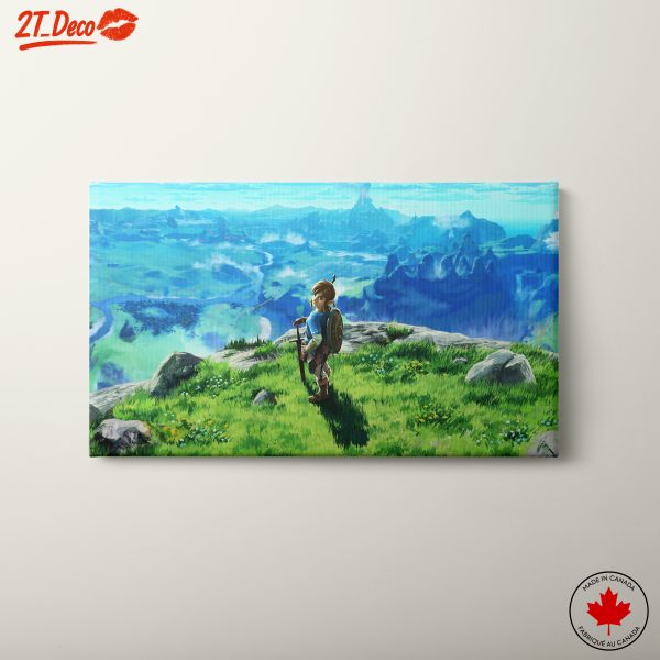 Link Gazing at a Verdant Landscape from Zelda