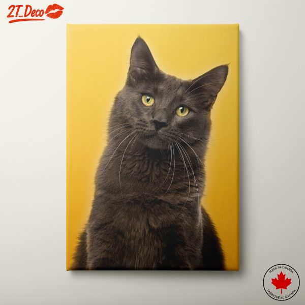 Charming Cat Portrait on Yellow Background