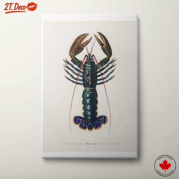 Lobster Abstract Marine Life Art