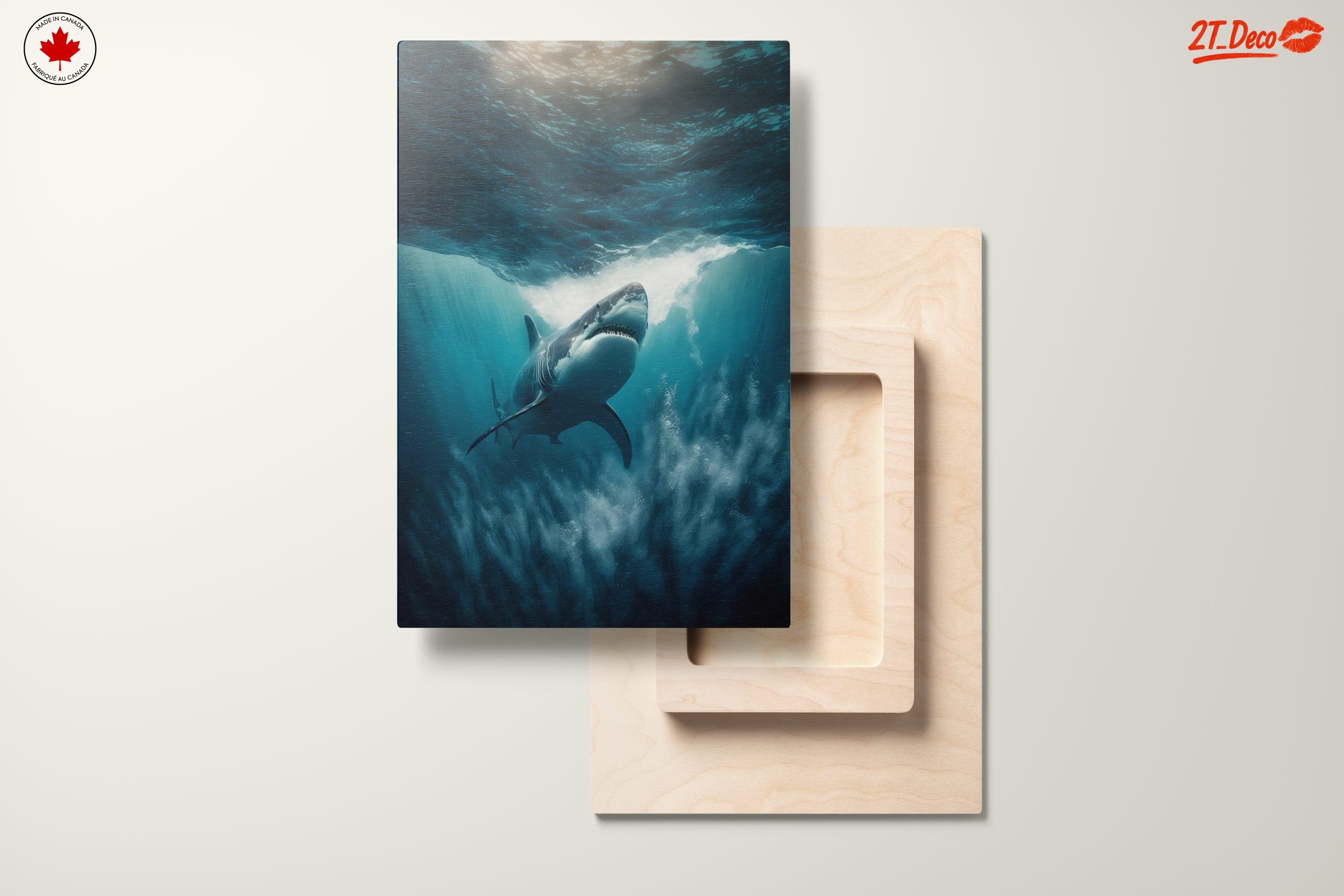 Stunning Ocean Predator Shark - Image 11