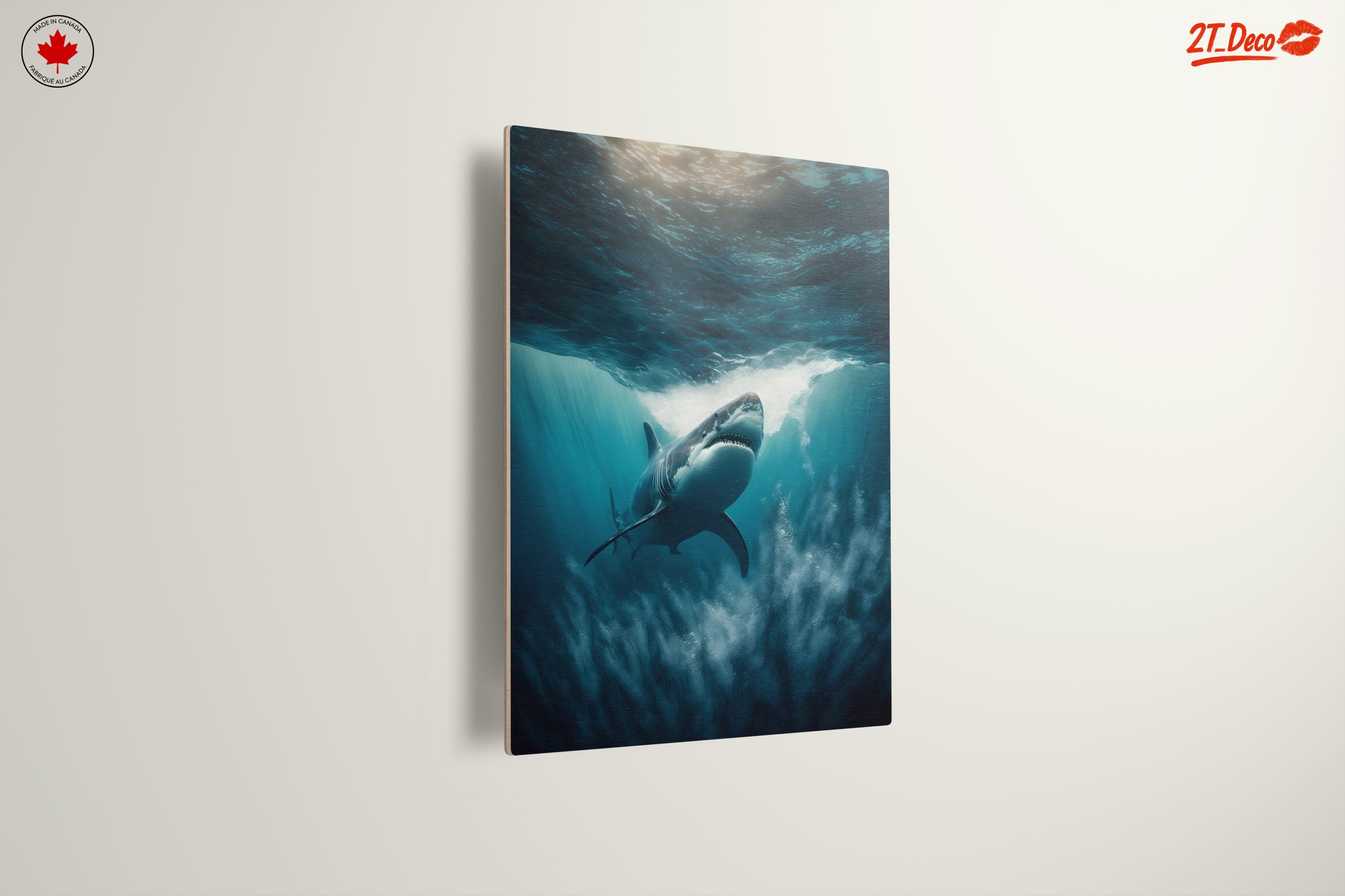 Stunning Ocean Predator Shark - Image 13