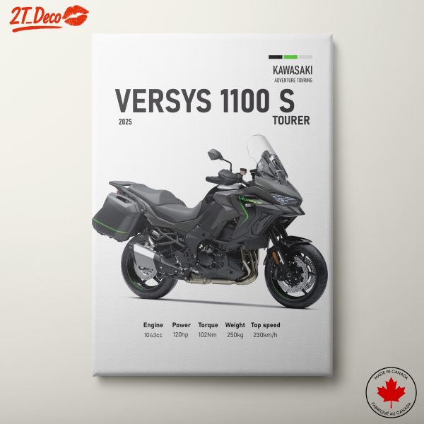 Kawasaki Versys 1100 S Adventure Touring