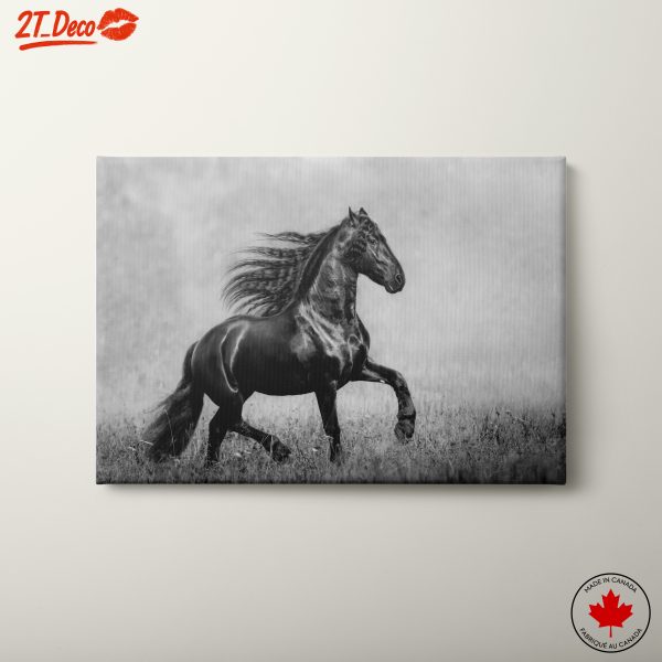 Majestic Black Horse Running in Grass