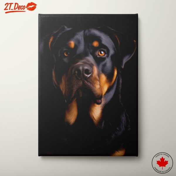 Stunning Rottweiler Portrait on Black Background