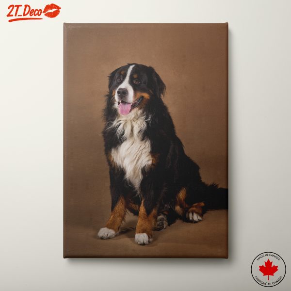 Bernese Mountain Dog Portrait Wall Art