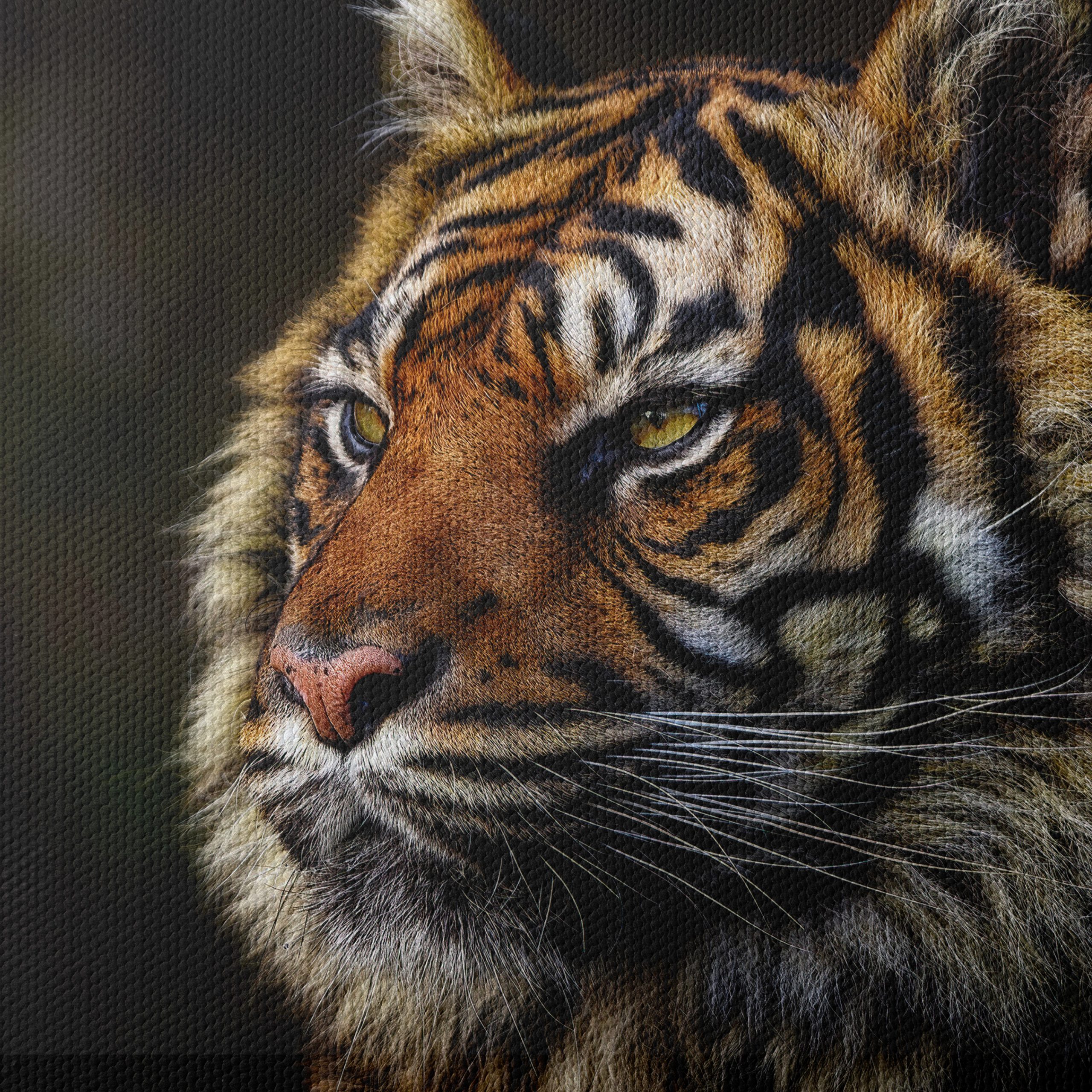 Majestic Tiger Portrait Art - Image 4