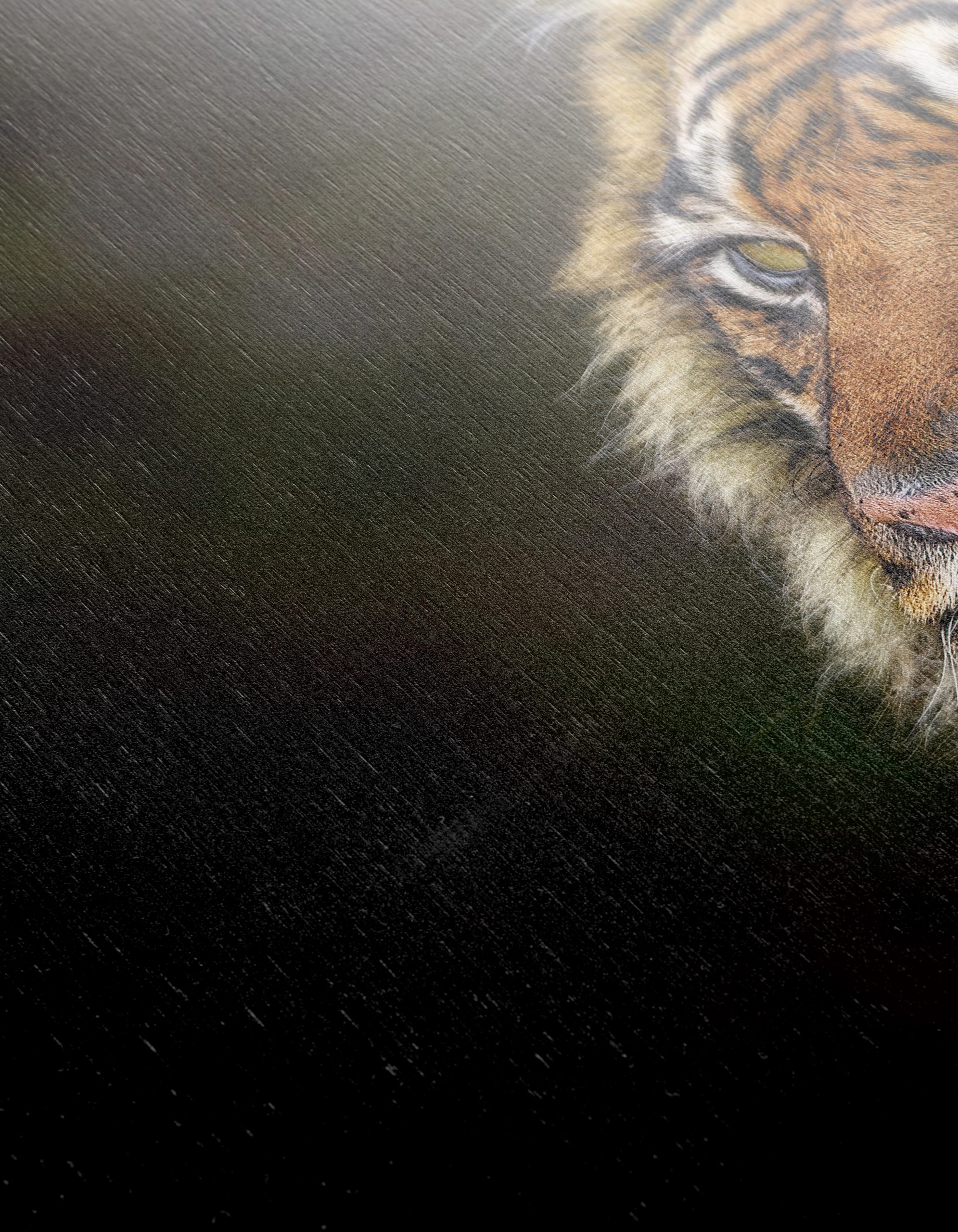 Majestic Tiger Portrait Art - Image 12
