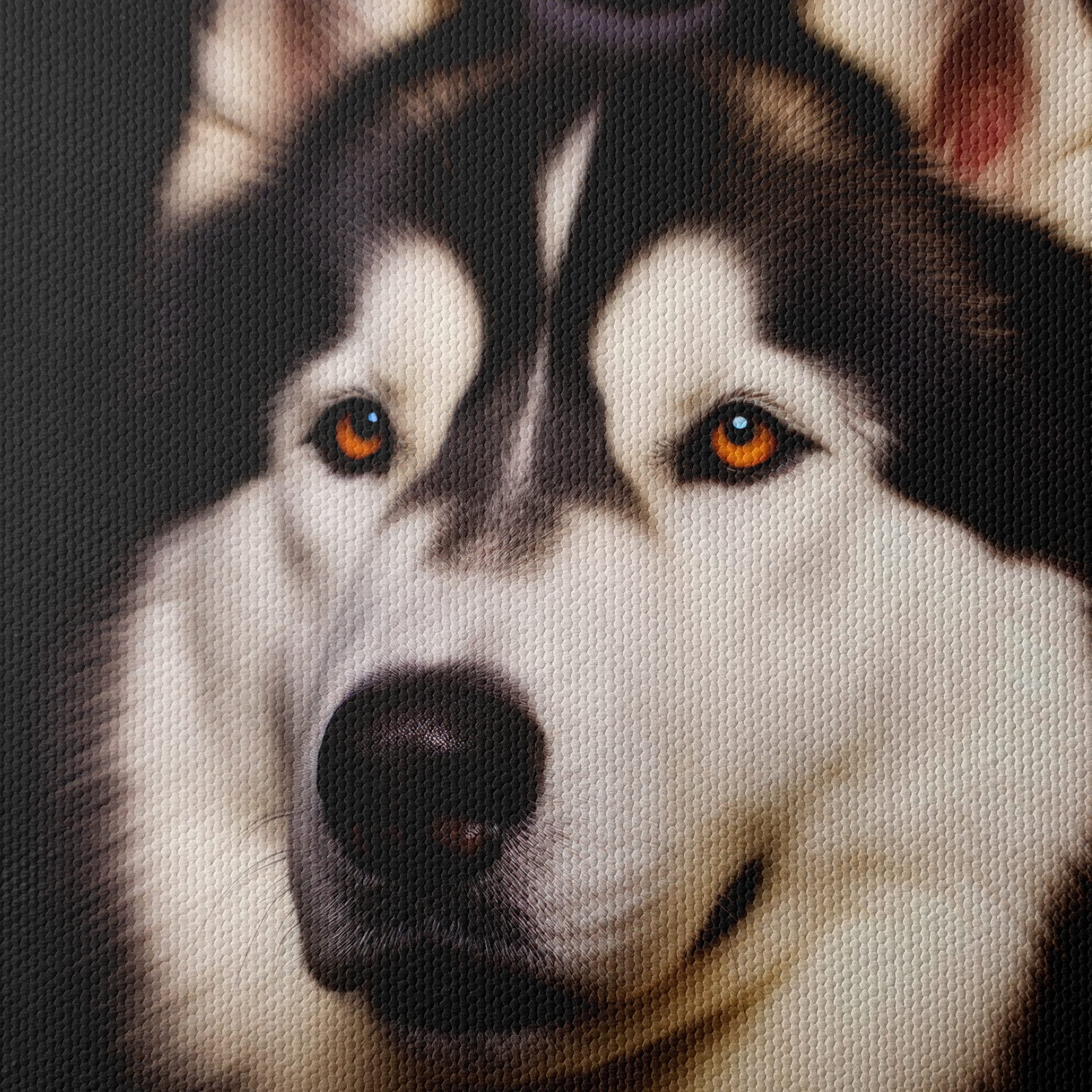 Majestic Husky Dog Portrait - Image 4