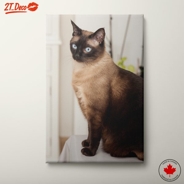 Siamese Cat Wall Art