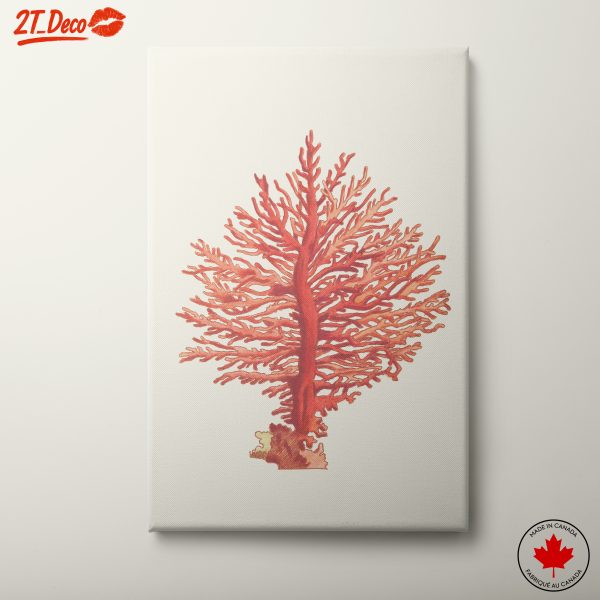 Abstract Coral Illustration with Detailed Branching