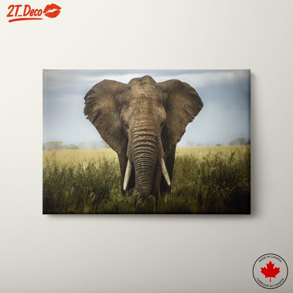 Majestic Elephant Portrait in Nature