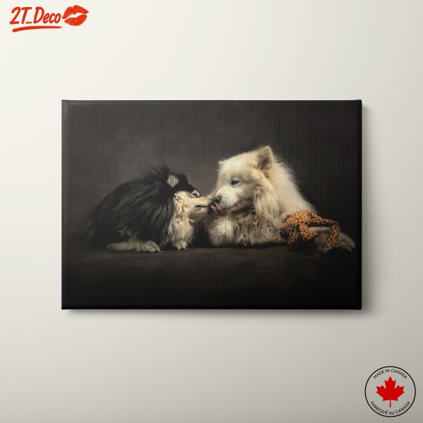 Cute Dogs Playing Together