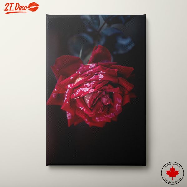 Stunning Red Rose Floral Art