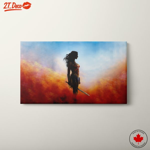 Wonder Woman Silhouette Against Colorful Background