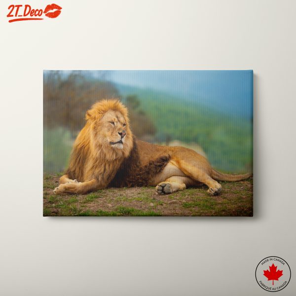 Majestic Lion Resting in Nature
