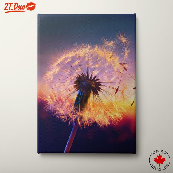 Stunning Close-Up of a Dandelion