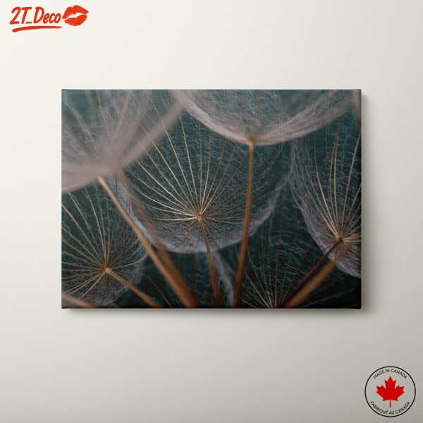 Delicate Botanical Art Photography