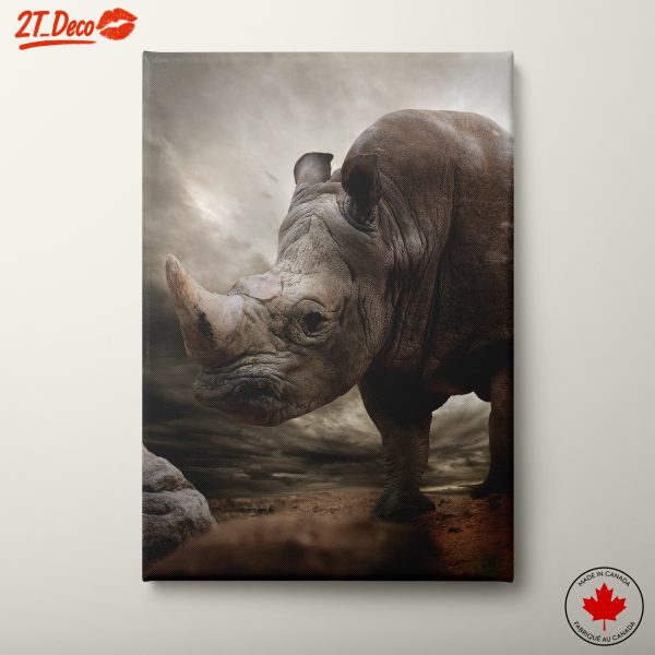 Majestic Rhinoceros in Dramatic Landscape
