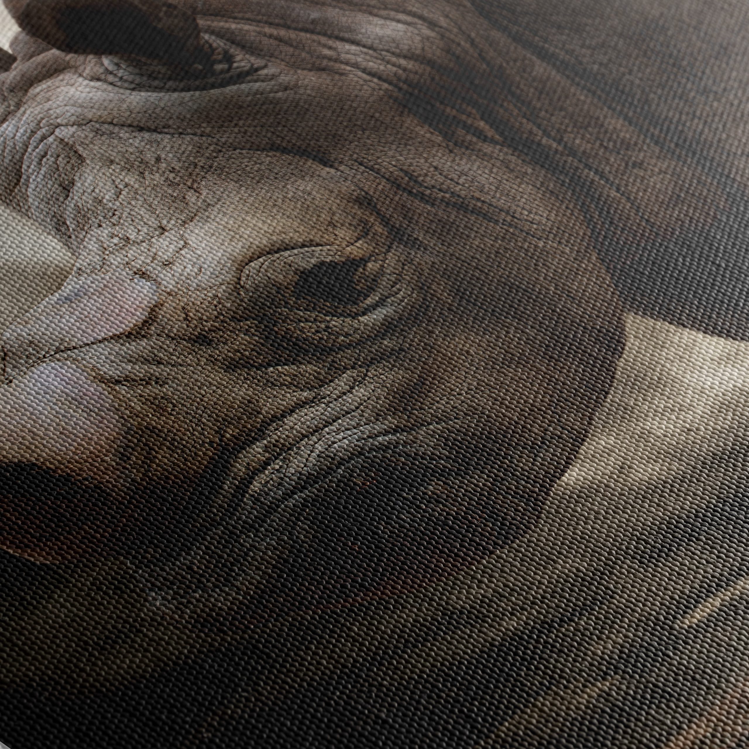 Majestic Rhinoceros in Dramatic Landscape - Image 5