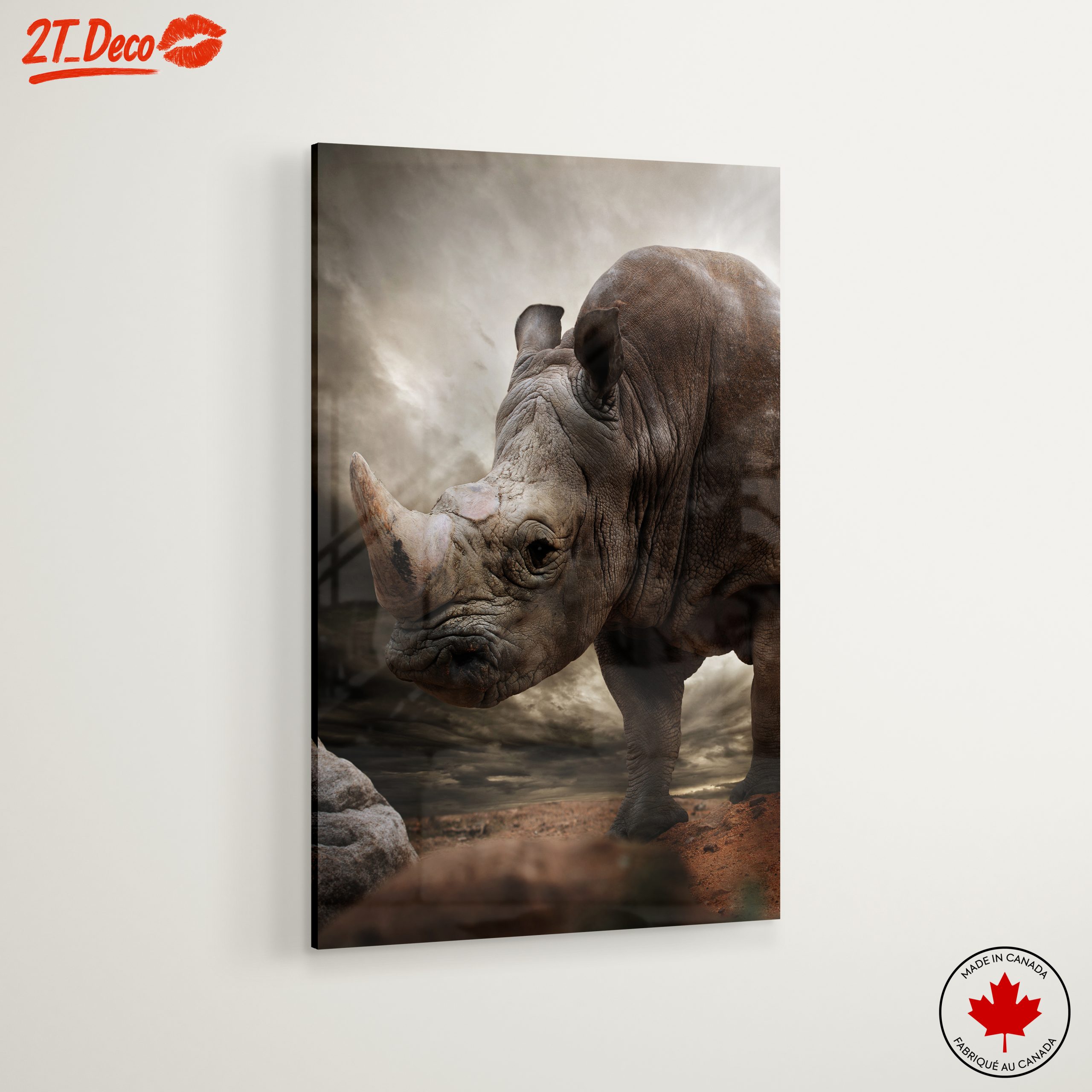 Majestic Rhinoceros in Dramatic Landscape - Image 6