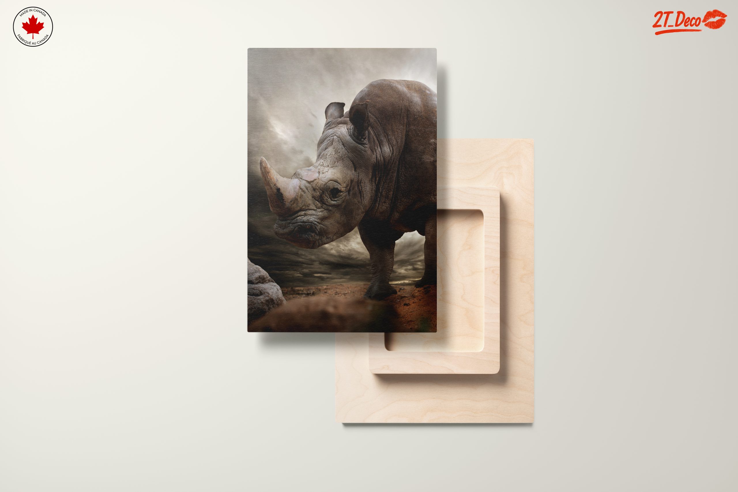 Majestic Rhinoceros in Dramatic Landscape - Image 11